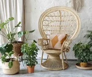 چیدانه خیلی قشنگ؛ این صندلی های تزئینی یه گوشه دنج واست میسازن چیدمانش رو یاد بگیر