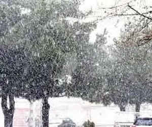 پیش بینی بارش برف و باران برای این هفته