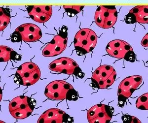 بازی فکری؛ شیش دانگ حواست رو جمع کن گاف ندی بین کفش دوزک ها قارچ رو پیدا کن