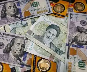 قیمت دلار امروز یکشنبه 14 دی 1404؛ دلار ثبات را دید