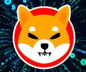 شیبابر ضرر کاربران پیش رفت؟