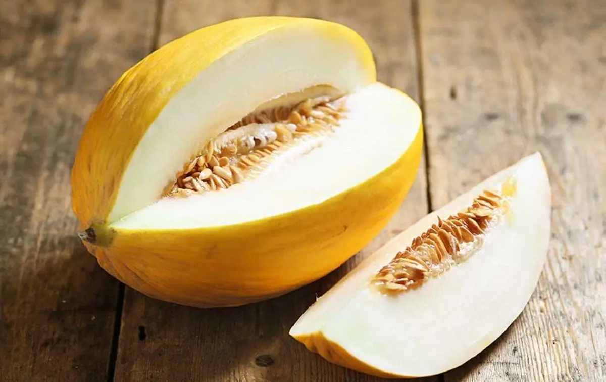 melon-wall-compressed