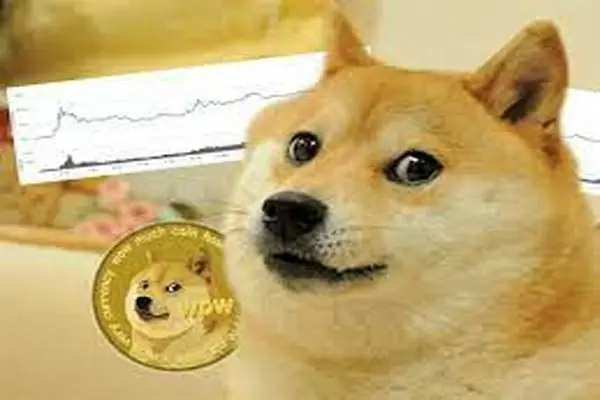 DOGCOIN