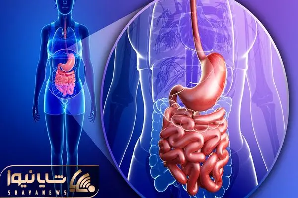 سلامت ملامت؛ صبحا چی بخوریم معدمون تمیز و خوشبو میشه؟