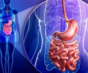 سلامت ملامت؛ صبحا چی بخوریم معدمون تمیز و خوشبو میشه؟