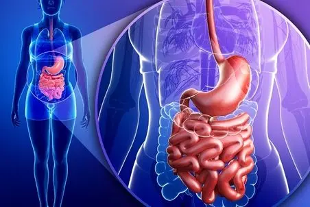 سلامت ملامت؛ صبحا چی بخوریم معدمون تمیز و خوشبو میشه؟