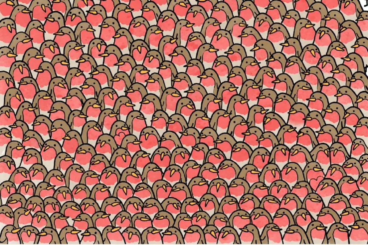 حسن