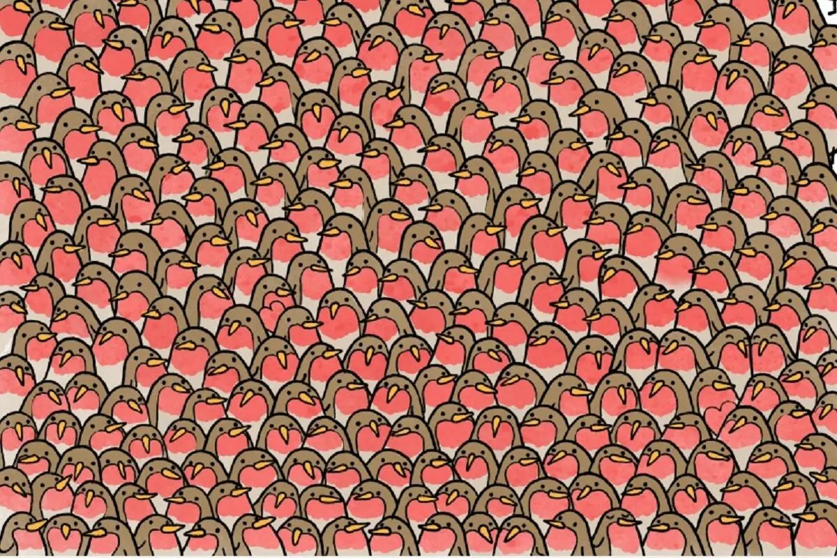حسن