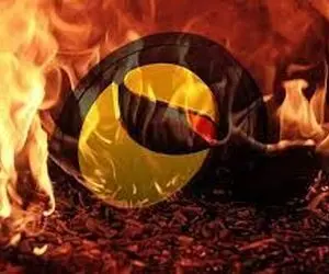دلیل پشتیبانی از رقیب شیبااینو، لونا؟!