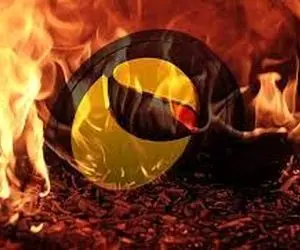 دلیل پشتیبانی از رقیب شیبااینو، لونا؟!