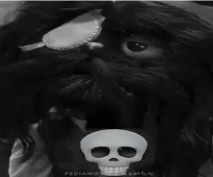 سکانس خندان / فتو به رامبد: دستیارتو‌ بفروش نو که نیست