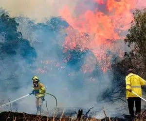 آخرین وضعیت آتش سوزی در جنگل گلستان