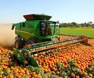 تجهیزات سنگین / کمباین کارخونه سرخود رادمان صنعت کشاورزی را دگرگون کرد