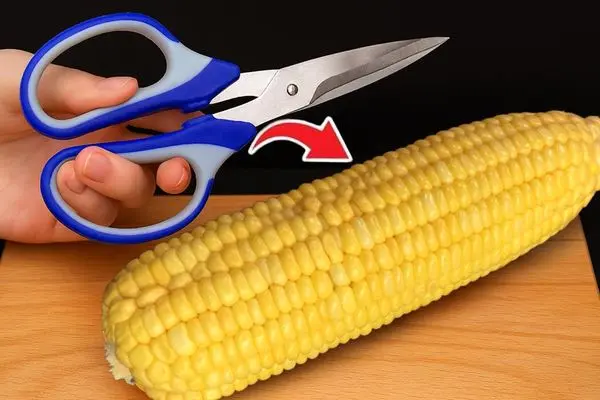 ترفند های خانگی؛ جدا کردن هسته ذرت فقط در ۱ دقیقه