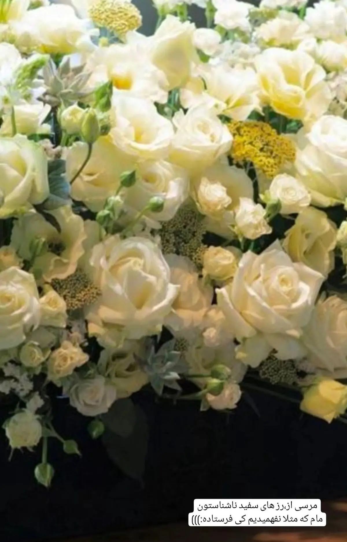 بهاره رهنما