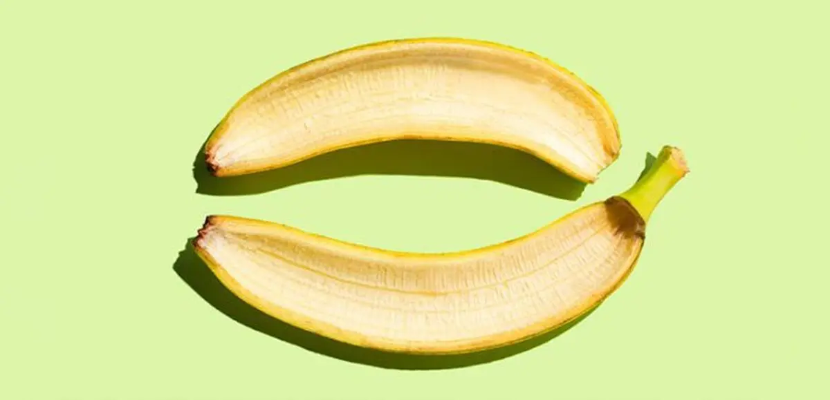 دندون3