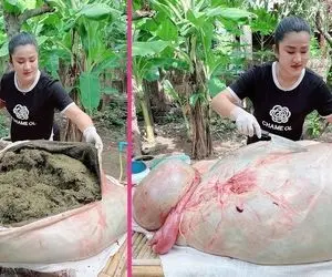 غذای گاوی؛ خانومه شکم گاو پاره کرد علفشو ریخت بیرون با مایع شست بعد پخت با سس خوردش