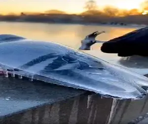 مستند کاوش؛ کفتر یخ زده رو با چکش میزنه یخ بشکنه پرش بده