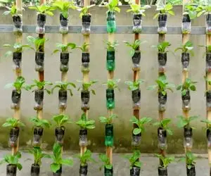 ایده های خلاقانه؛ باغچه کف حیاط نداری؟ خیالی نیست باغچه ایستاده بساز روی دیوار شاهانه