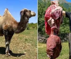 دل و جیگر ؛ جیگر پیچ غول پیکری که این آقاهه درست کرد آدم میمونه بخوره یا فقط نگا کنه