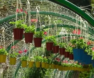 افتتاح بازار دائمی گل و گیاه کرج