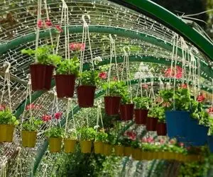 افتتاح بازار دائمی گل و گیاه کرج