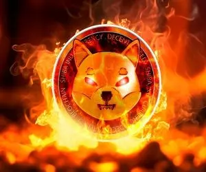 آیا SHIB می تواند در شش ماه به 0.01 دلار برسد؟