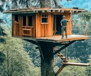 معماری خلاقانه؛ انسان برای محافظت از خود در برابر شکارچیان، خانه درختی می سازد