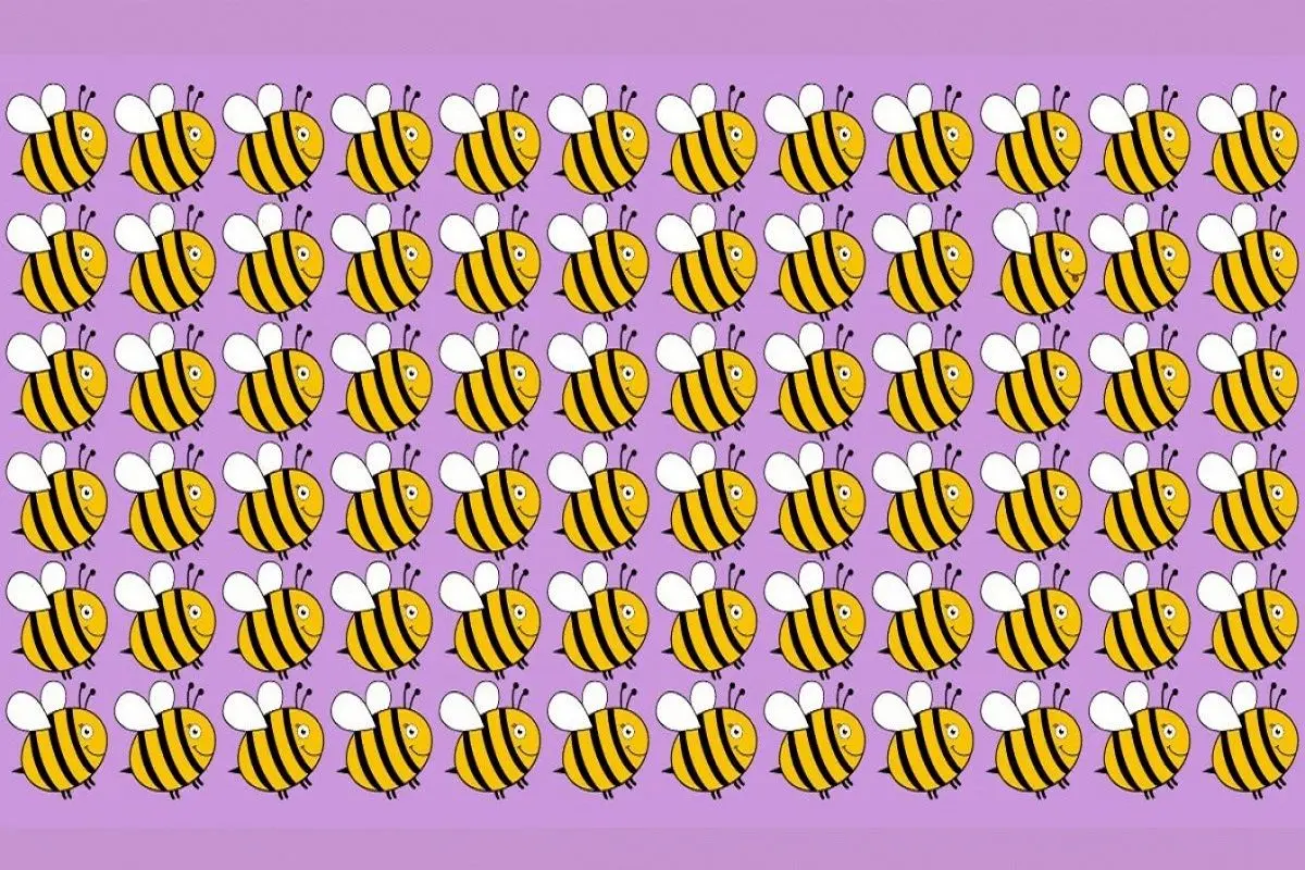 تست-بینایی-یافتن-زنبور-متفاوت