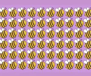 بازی فکری؛ نتونی زنبور متفاوت رو تو 6 ثانیه پیدا کنی باید بری دکتر بیناییت نابوده