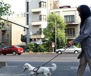 سگ گردانی؛خوب ، بد، زشت!