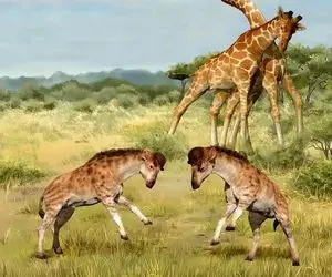 راز بقا؛ کفتار پیش قاضی ملق بازی کرد با لنگای زرافه به فنا رفتن سلام کرد