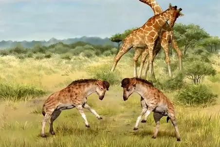 راز بقا؛ کفتار پیش قاضی ملق بازی کرد با لنگای زرافه به فنا رفتن سلام کرد