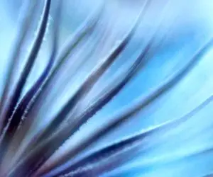 تست هوش تصویری؛ اگه فکر میکنی تو باهوشی اوستایی هستی واسه خودت بگو این تصویرِ چی چیه؟