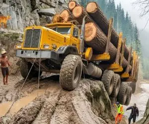 جابه جایی جانکاه؛ تو جاده مهلک و گل اندود الوار و کنده درخت میبرن برای ساخت عتیقه جات