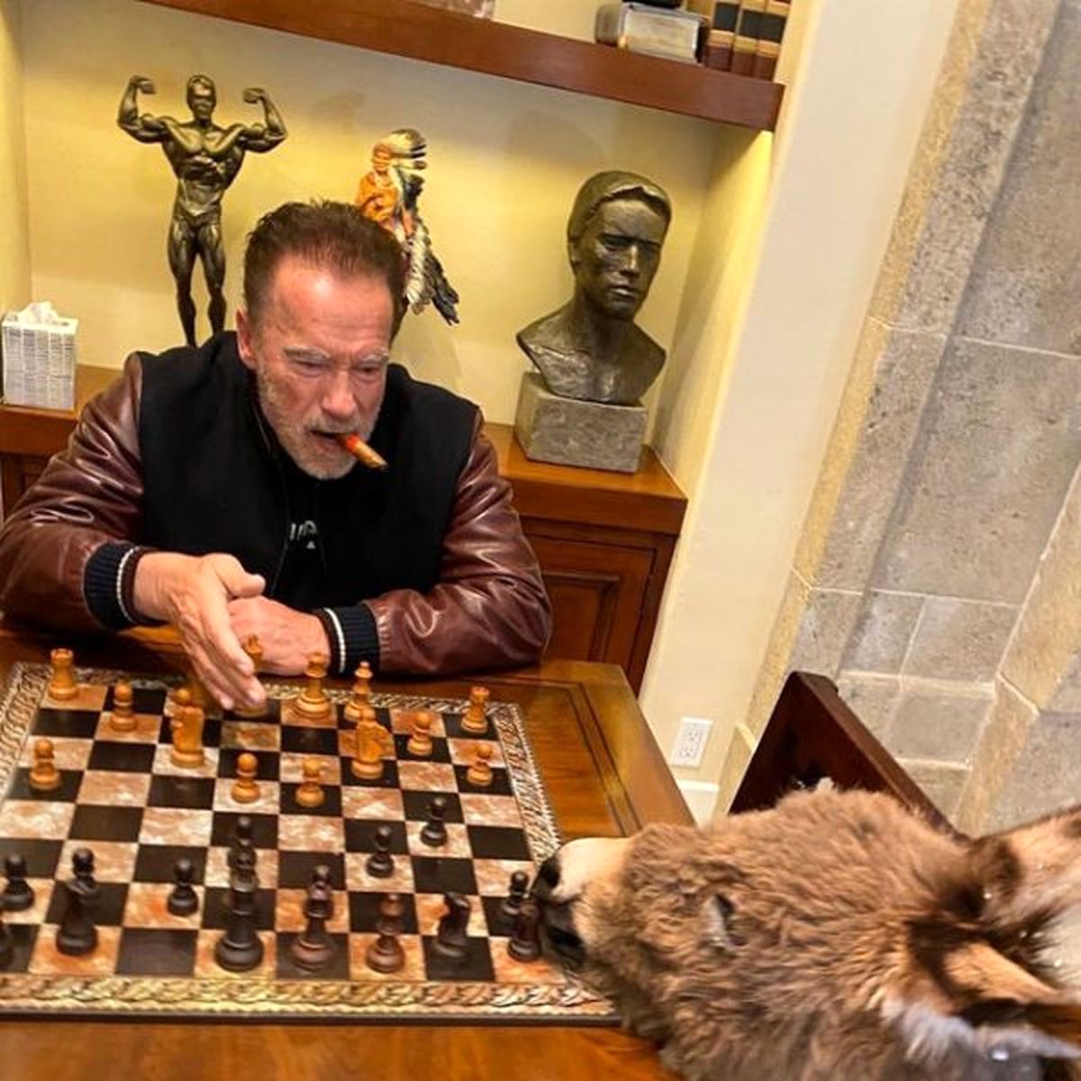 (تصاویر) شطرنج بازی کردن آرنولد با الاغش در قرنطینه!