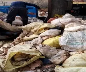 کشف بیش از 6 تن پوست مرغ در استان کرمانشاه