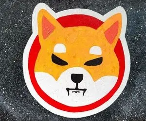 شایعات نابودی شیبا حق یا دروغ؟