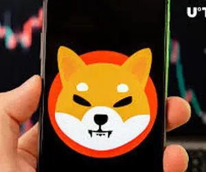 شیبااینوفراتراز انتظار!