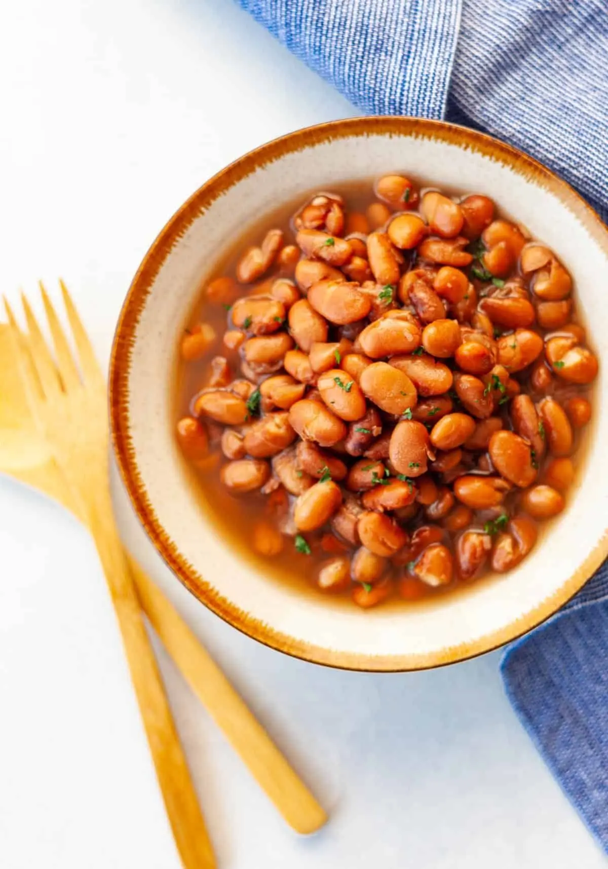 pinto-beans-2