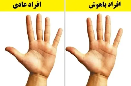 نشانه هایی که در کف دست افراد باهوش وجود دارد