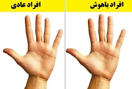 نشانه هایی که در کف دست افراد باهوش وجود دارد