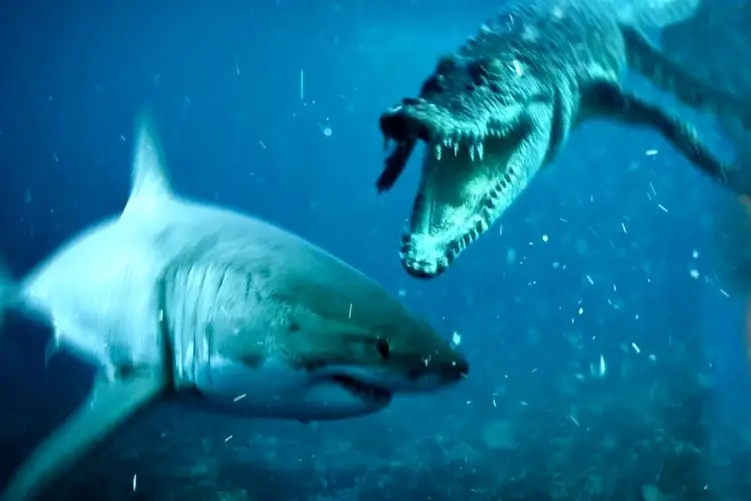 مستند حیات وحش/نهنگ برای اینکه تو تله نیوفته شلنگ تخته میندازه