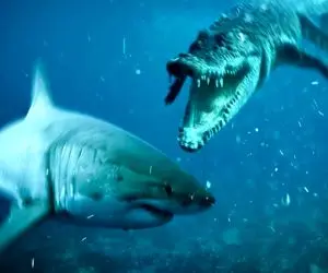 مستند حیات وحش/نهنگ برای اینکه تو تله نیوفته شلنگ تخته میندازه