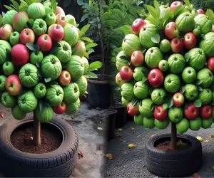 کشاورزی نوین؛ با هوش مصنوعی و ابزار نوین سیب و جگوار و پیوند زدن دخت دو رنگ بشه