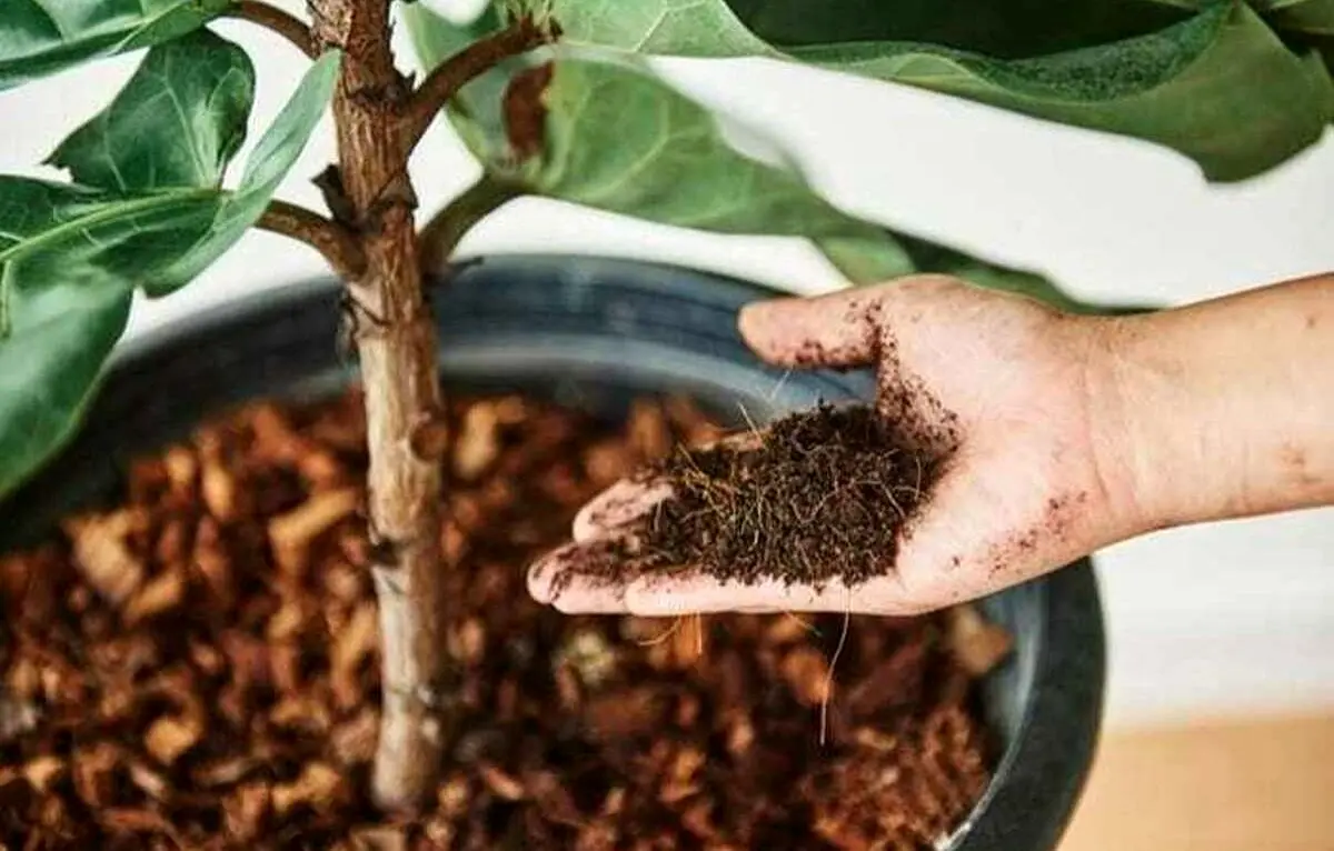 11zon_cropped-2023-11-05T162415.634