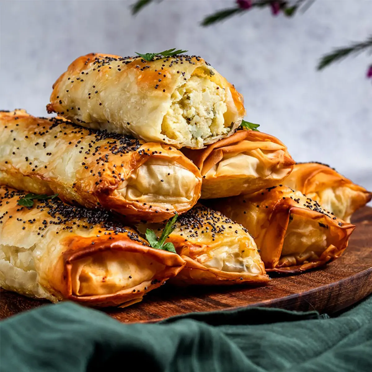 burek-morgh3