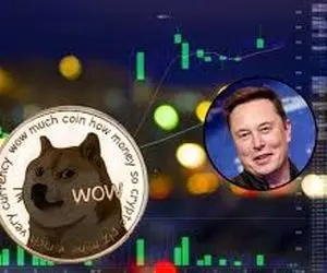 دوج کوین به خاطر ایلان ماسک سربه بیابون زد؟