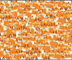 بازی فکری؛ اگه گربه موذی پیداش کنی دکتر می‌گه مغزت ۲۰ سال جوون‌تره!