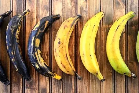 روشهای سفید موندن موز؛ جلوگیری از سیاه و کدر شدن موز به مدت ده روز/بهترین کار